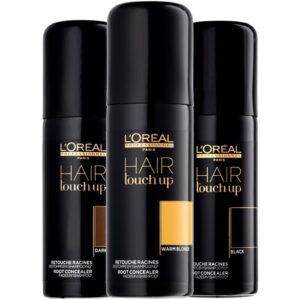 L'Oréal Hair Touch Up